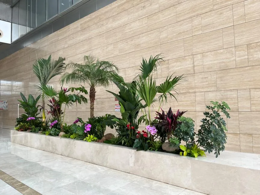 海曙植物租摆价格全解析，让你轻松找到性价比高的租摆服务